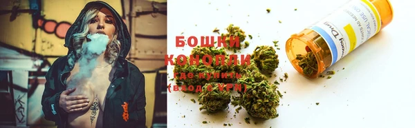 спайс Баксан