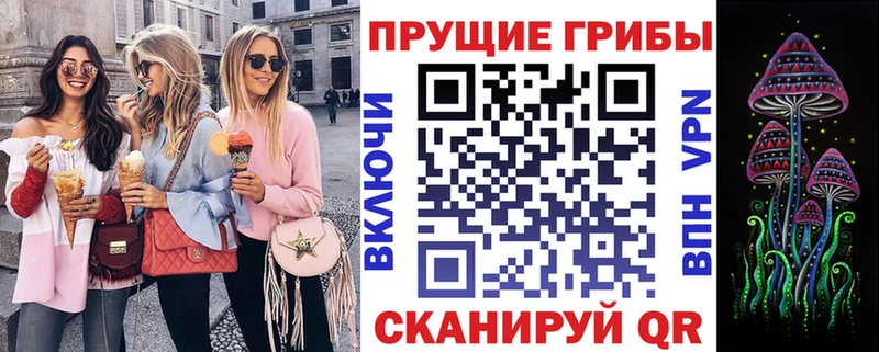 ОМГ ОМГ ССЫЛКА Котово Галлюциногенные грибы GOLDEN TEACHER